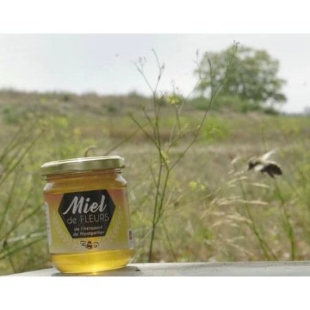 L’aéroport Montpellier-Méditerranée entre ciel et miel
