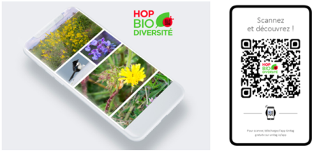 HOP! Biodiversité dévoile un espace photo inédit des espèces observées sur les plateformes aéroportuaires