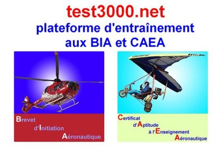Où se former en ligne au Brevet d’Initiation Aéronautique