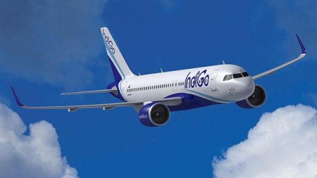 IndiGo désormais accessible aux agences de voyages françaises
