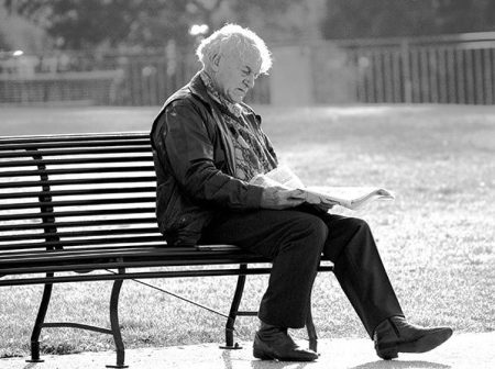 Stable Passenger Demand Growth in November