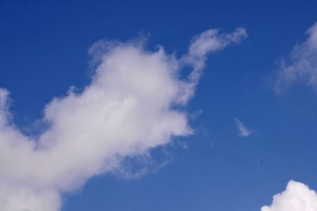 European Airlines Revenue Losses Mount – Urgent Government Support Required