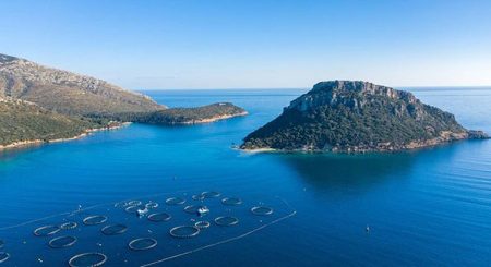 Nouvelle ligne Montpellier – Figari avec Volotea