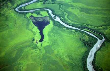 SITA committed to a sustainable future with ISO14001:2015 re-certification across six offices