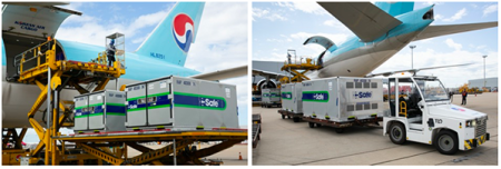 Korean Air se prépare à livrer le vaccin Covid-19 à travers la planète