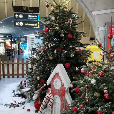 Retrouvez vos proches depuis l’aéroport de Montpellier