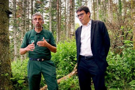 Premier puits carbone forestier des aéroports de Lyon