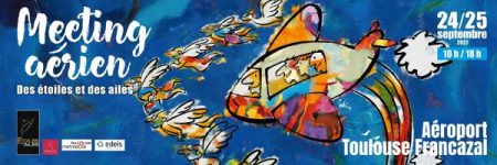 Meeting Aérien des Etoiles et des Ailes à Toulouse Francazal
