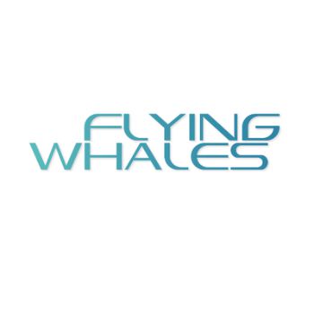 FLYING WHALES – programme StartAir du GIFAS