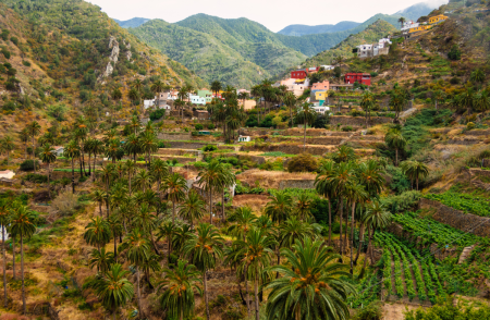 Les îles Canaries : domaines et paysages viticoles tout en douceur Les îles Canaries - La Gomera_Macayo