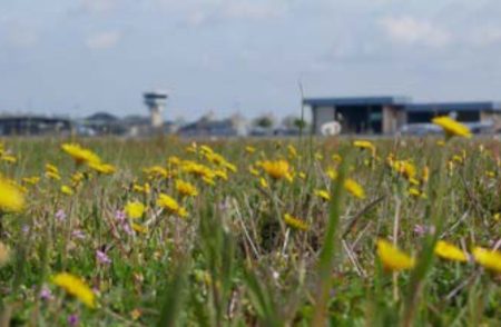 Aéro Biodiversité publie son rapport national 2023 aerobernie-aero biodiversite