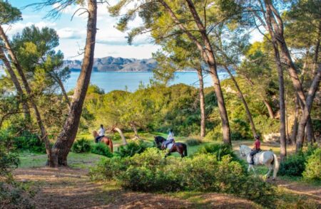 Explorez les paysages naturels de Majorque à cheval aerobernie-majorque-equitation