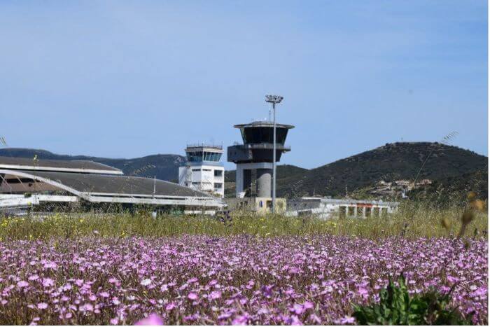 tour controle aeroport ajaccio napoléon bonaparte biodiversité Aéro Biodiversité : 10 ans de prairies aéroportuaires, biodiversité