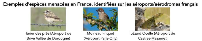 especes menace france Espéces menacées en France