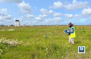 Aéroport de Calais-Dunkerque ©Aéro Biodiversité